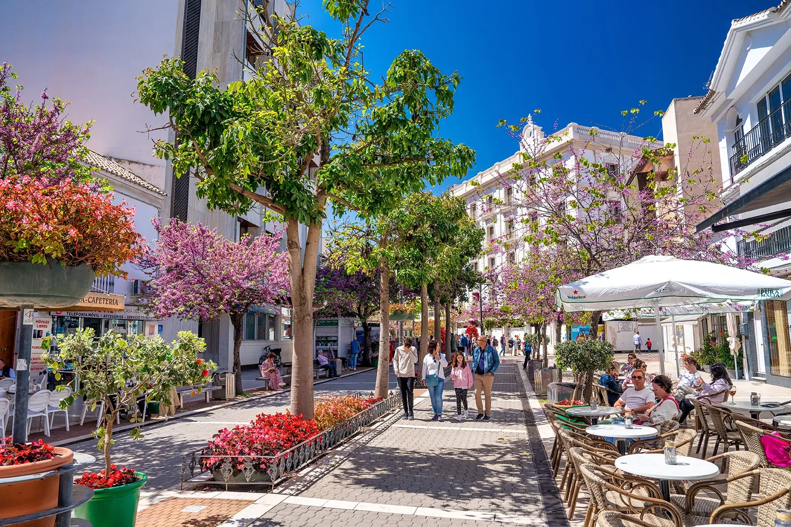 Wandelpromenade in het centrum van Estepona met bloeiende bomen, terrassen en winkels nabij Capri Estepona